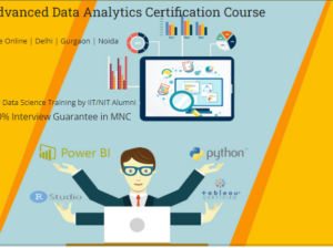 Data Analyst Training Course in Delhi, 110089.