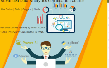 Data Analyst Training Course in Delhi, 110089.