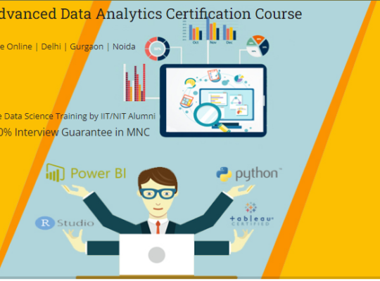 Data Analyst Training Course in Delhi, 110089.