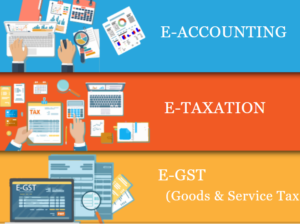 Job Oriented Accounting Course in Delhi, 110056,