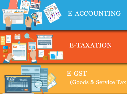 Job Oriented Accounting Course in Delhi, 110056,